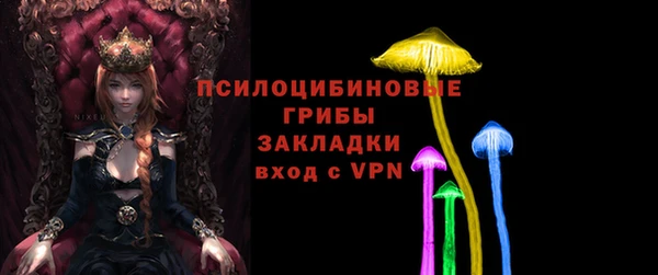 бошки Абаза